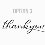 Option 3 Script